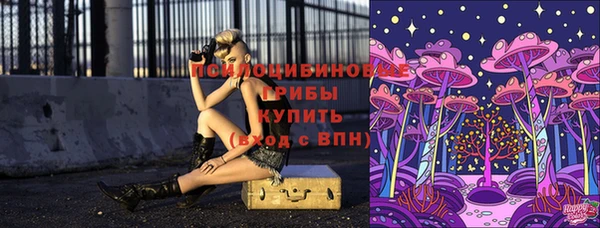 ешки Беломорск