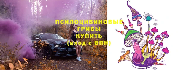 гашик Белоозёрский