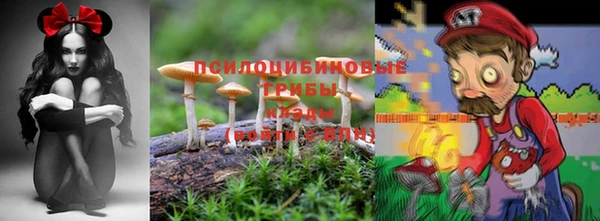 ешки Беломорск